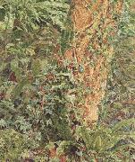 Study of an Ash Trunk (mk46) Albert Joseph Moore,ARWS